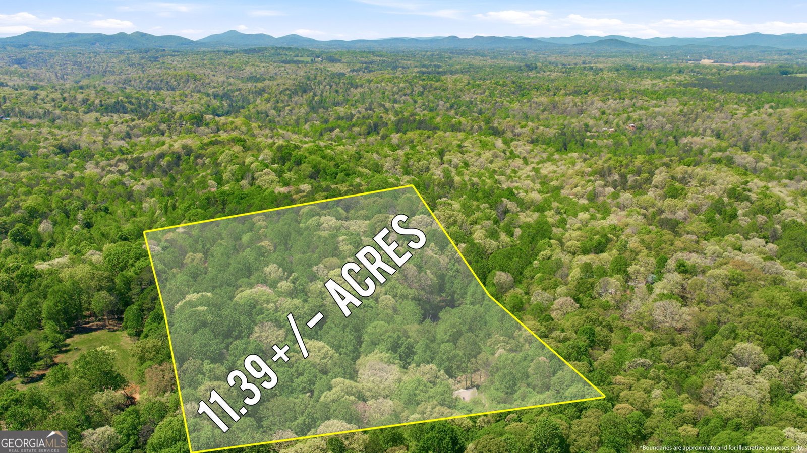 3617 Pea Ridge Road Cornelia - Photo 106