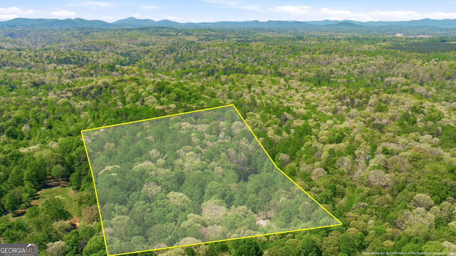 3617 Pea Ridge Road Cornelia - Photo 107