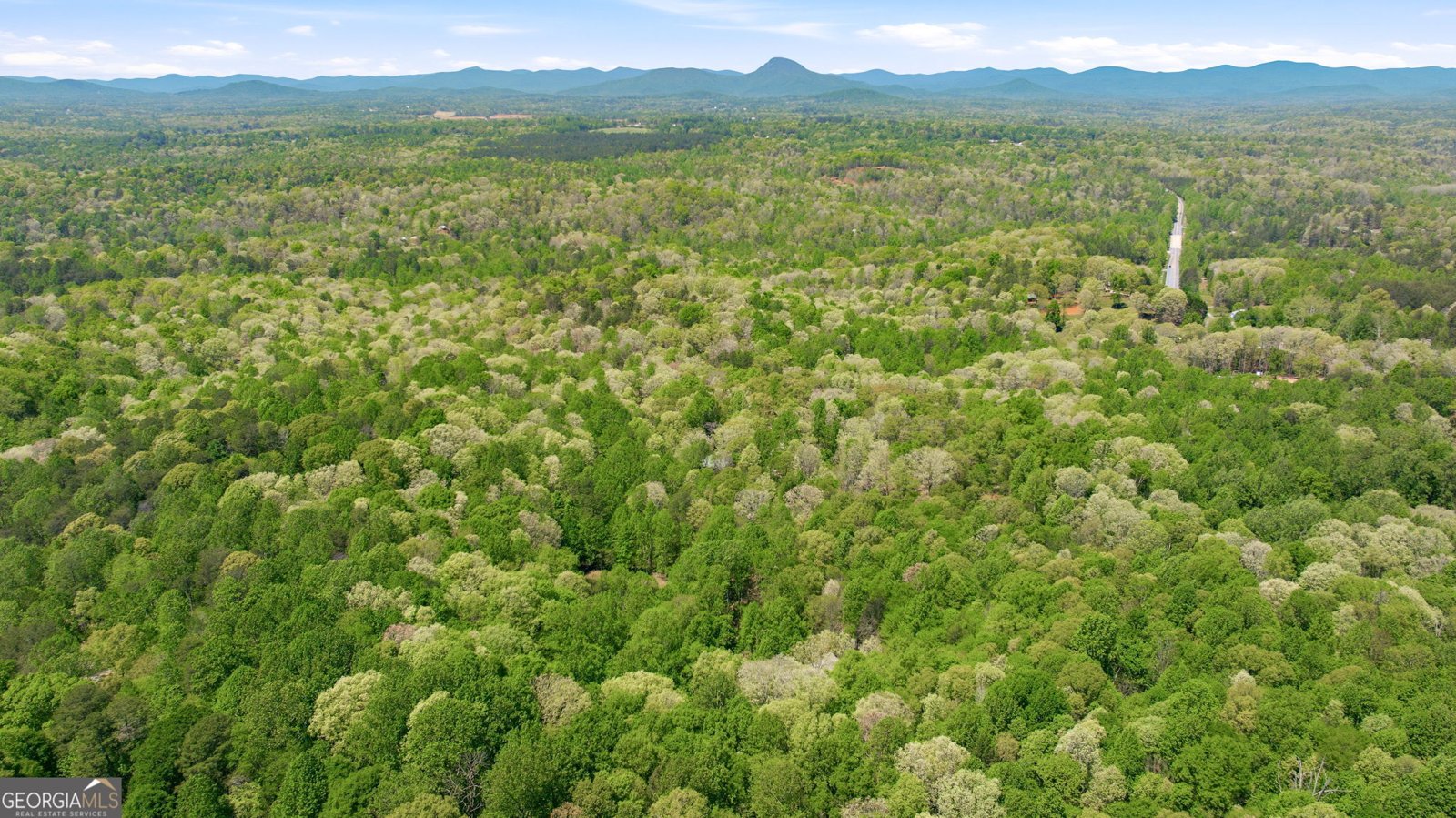 3617 Pea Ridge Road Cornelia - Photo 108