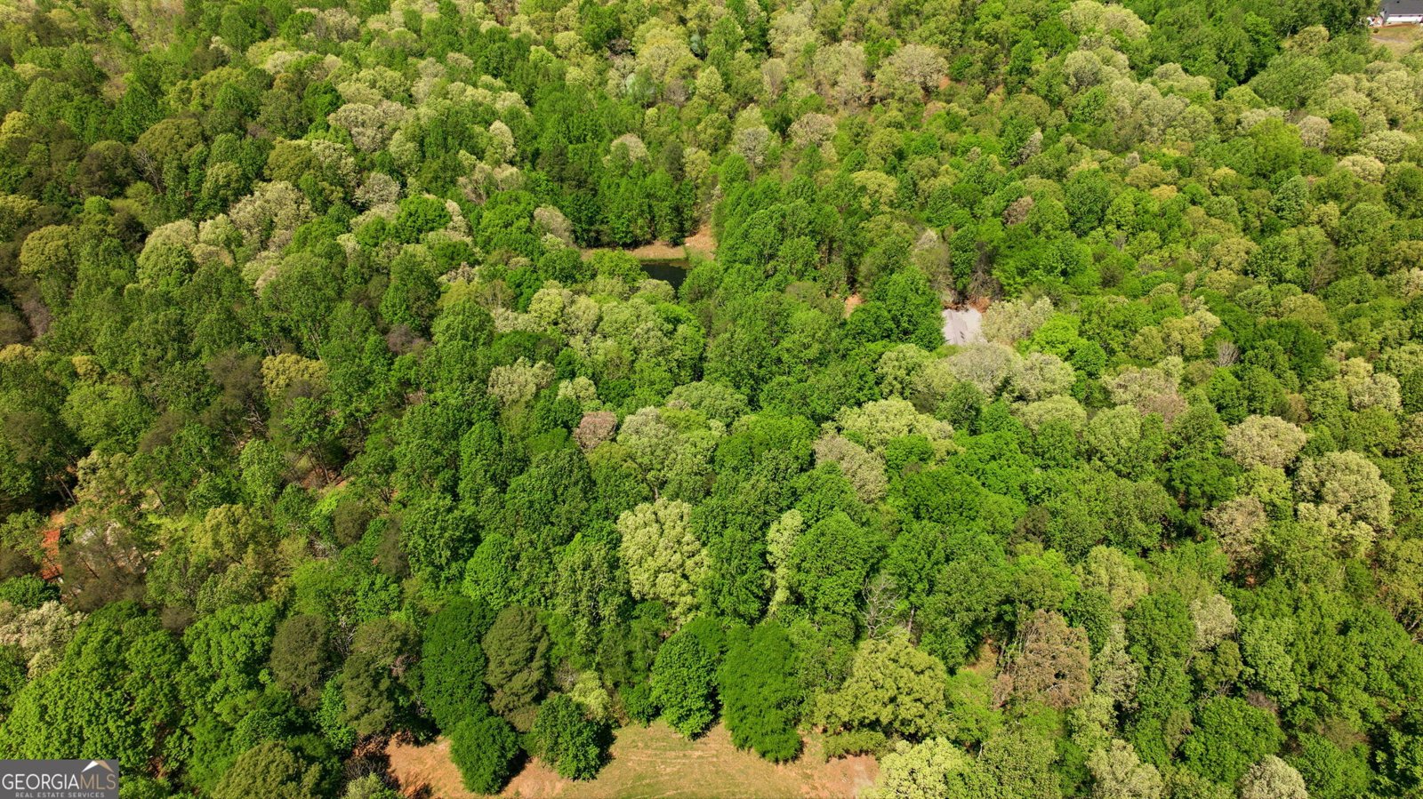 3617 Pea Ridge Road Cornelia - Photo 110