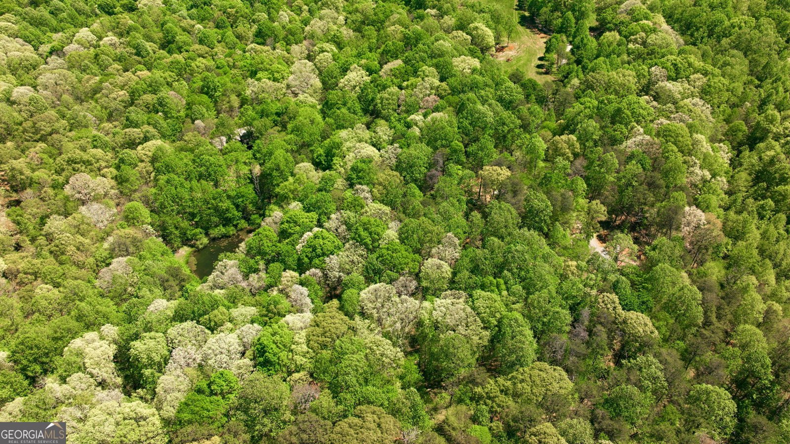 3617 Pea Ridge Road Cornelia - Photo 111