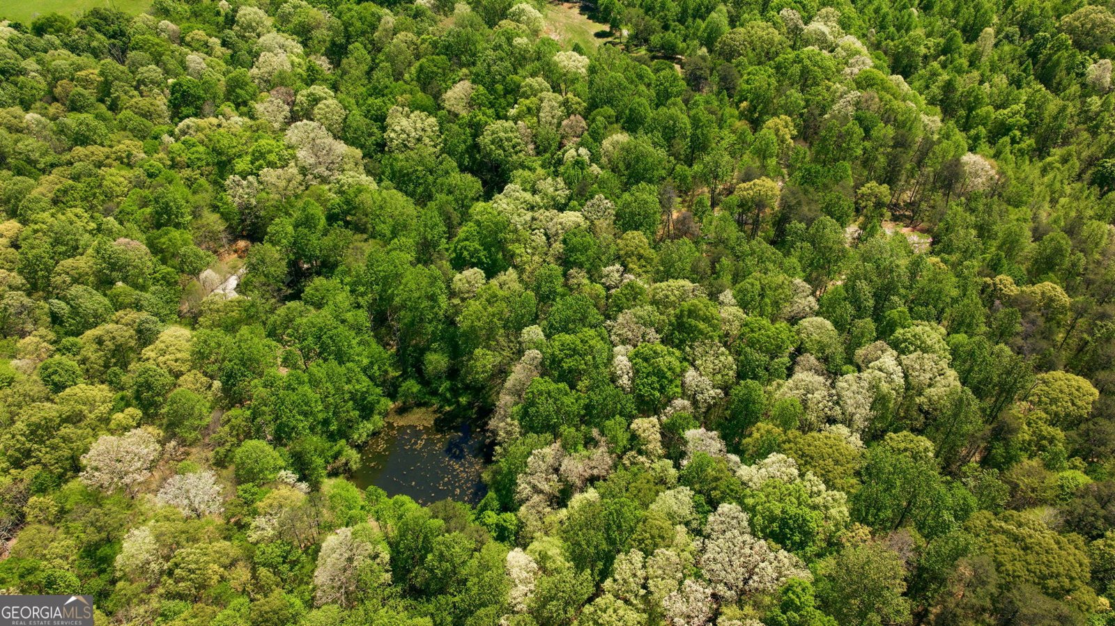 3617 Pea Ridge Road Cornelia - Photo 112