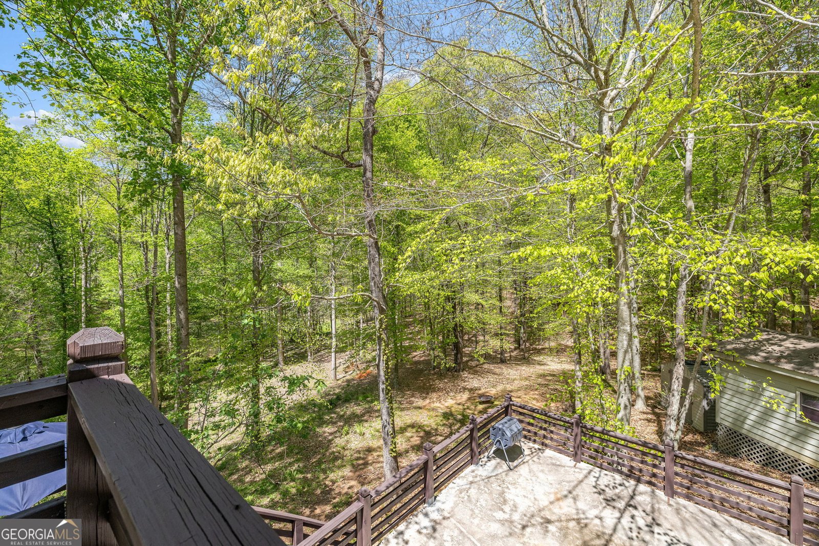 3617 Pea Ridge Road Cornelia - Photo 45