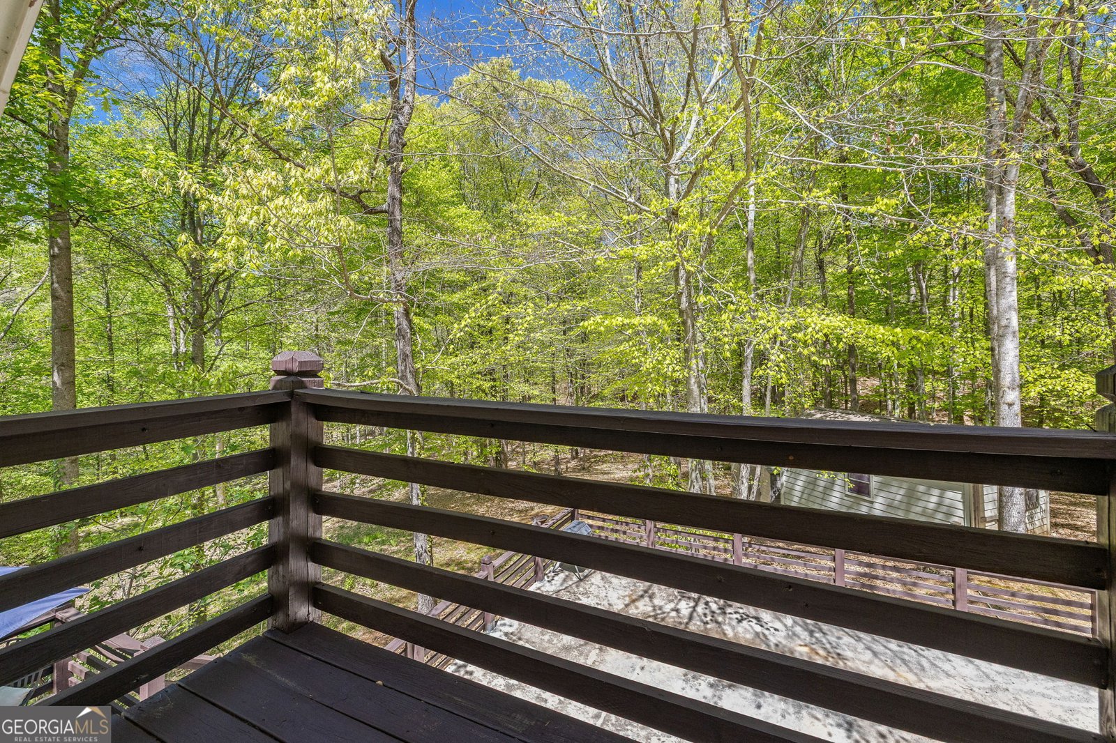 3617 Pea Ridge Road Cornelia - Photo 46