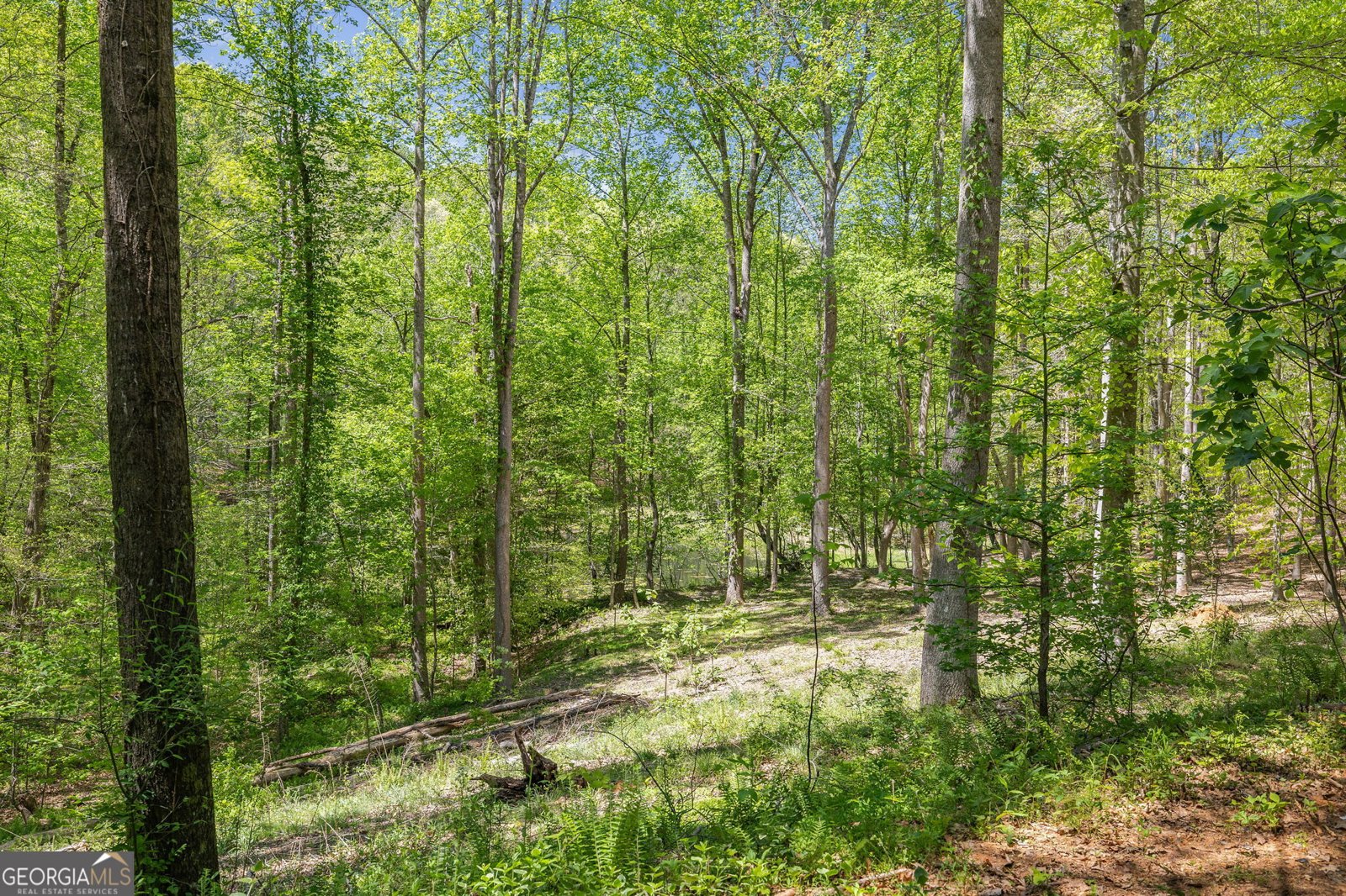 3617 Pea Ridge Road Cornelia - Photo 64