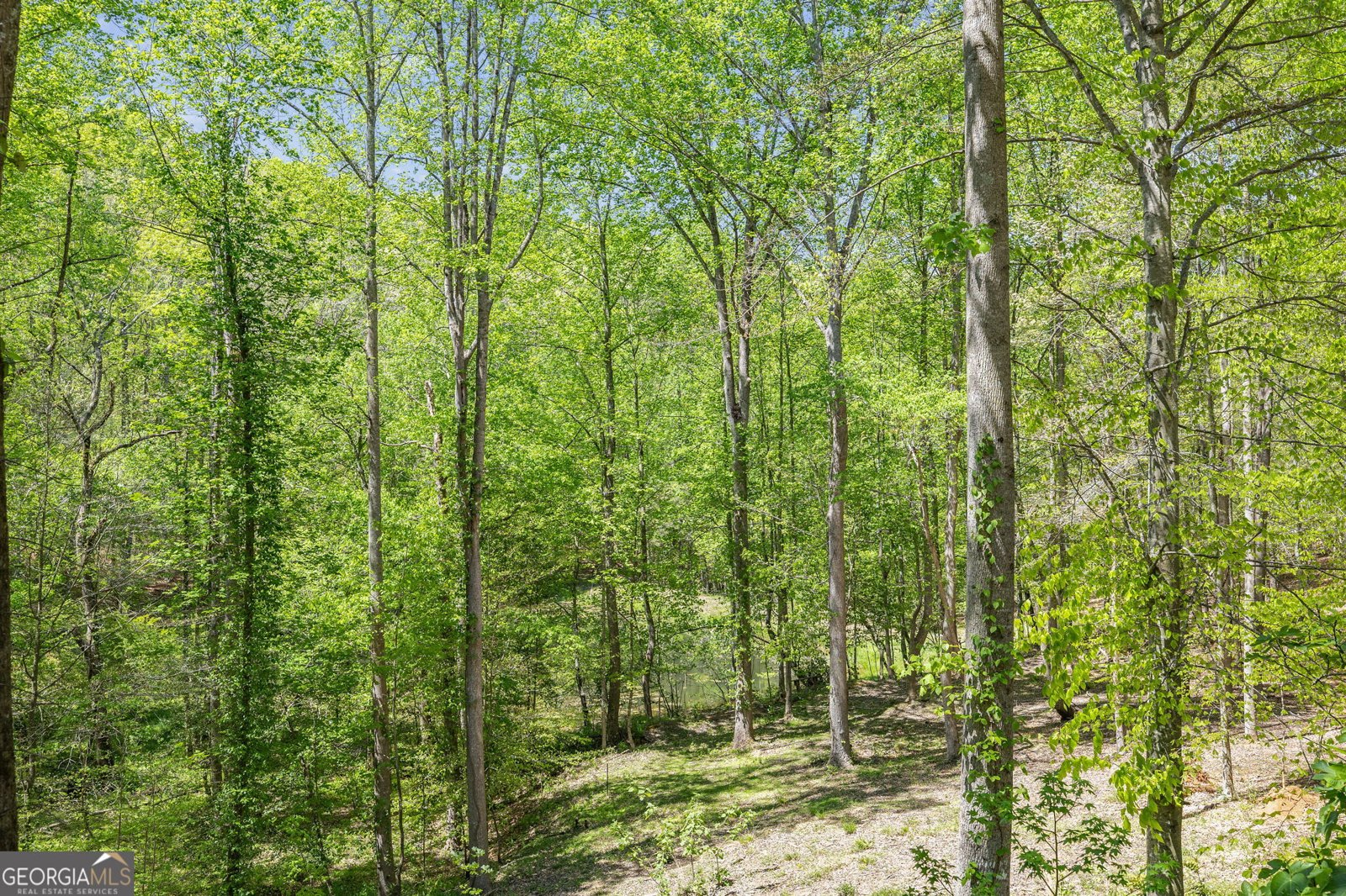 3617 Pea Ridge Road Cornelia - Photo 67