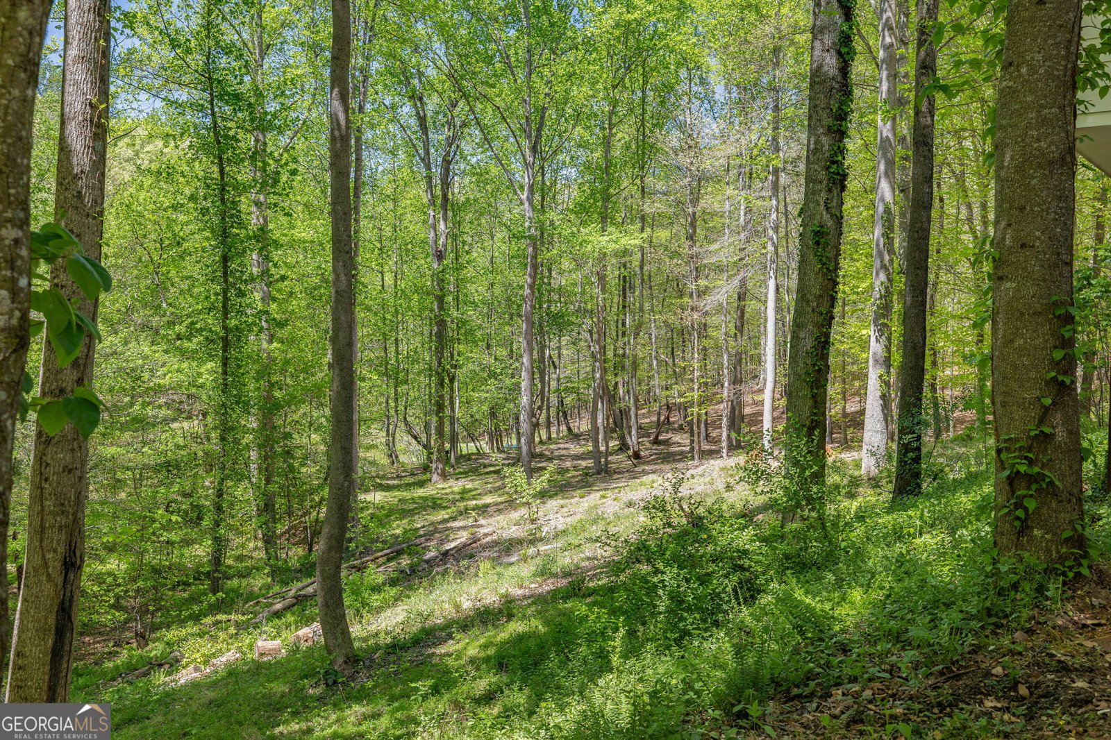 3617 Pea Ridge Road Cornelia - Photo 72