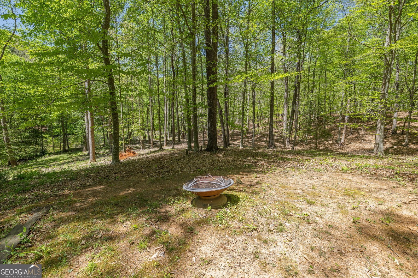 3617 Pea Ridge Road Cornelia - Photo 73