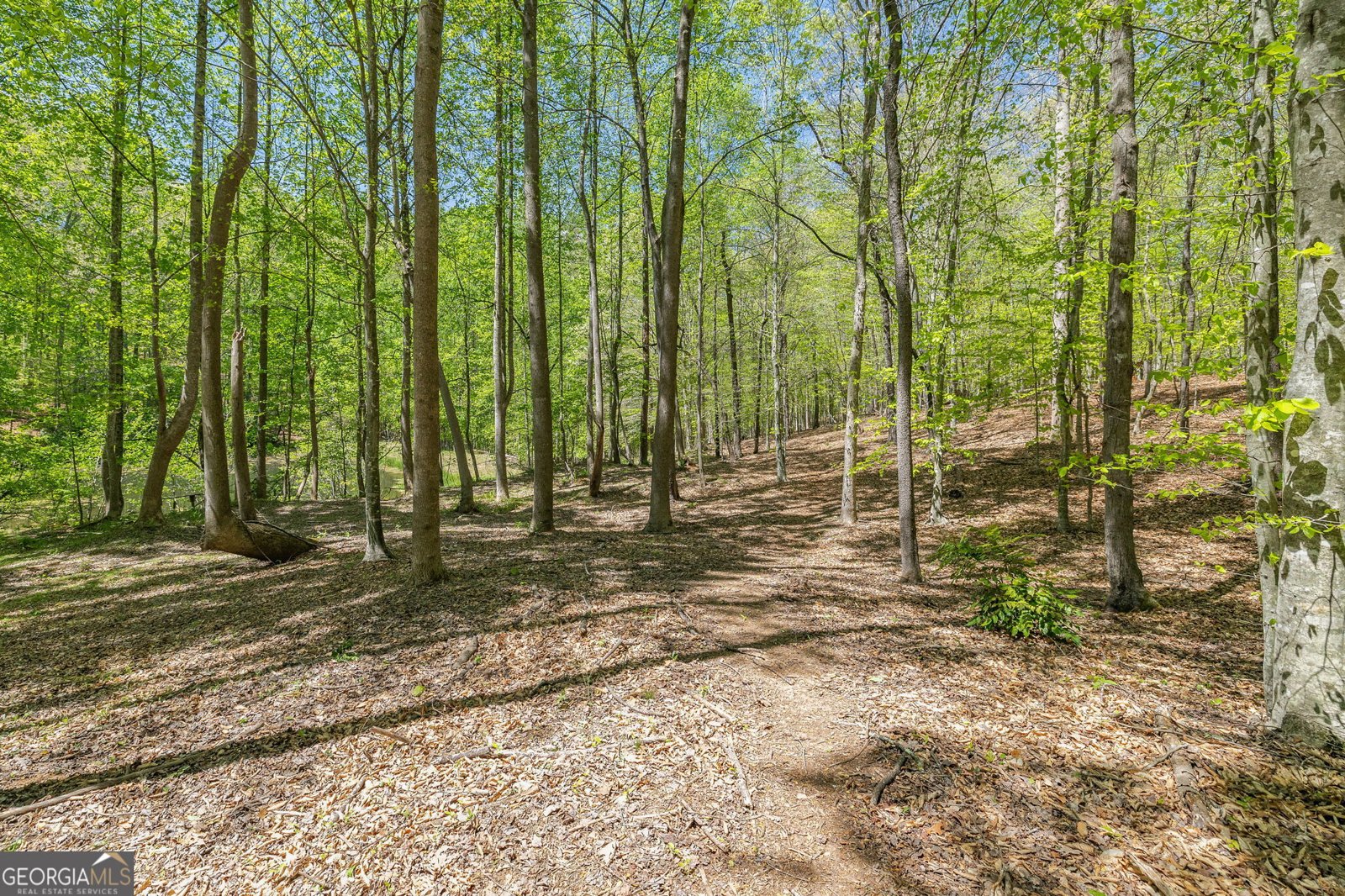 3617 Pea Ridge Road Cornelia - Photo 74