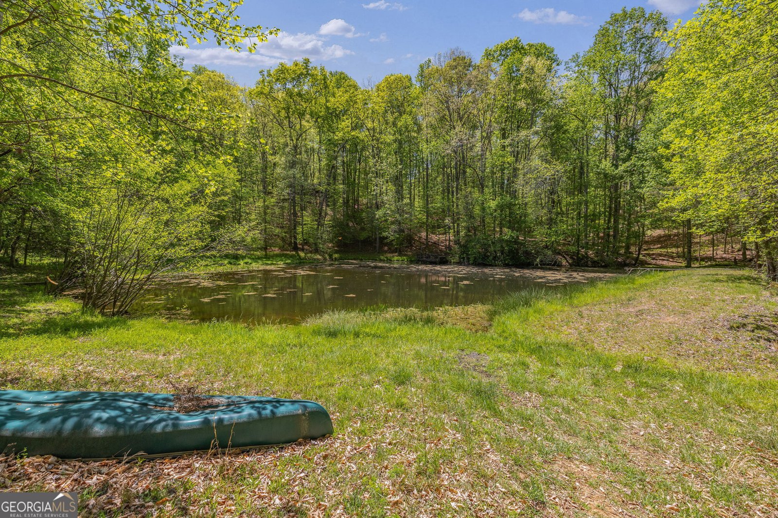 3617 Pea Ridge Road Cornelia - Photo 75