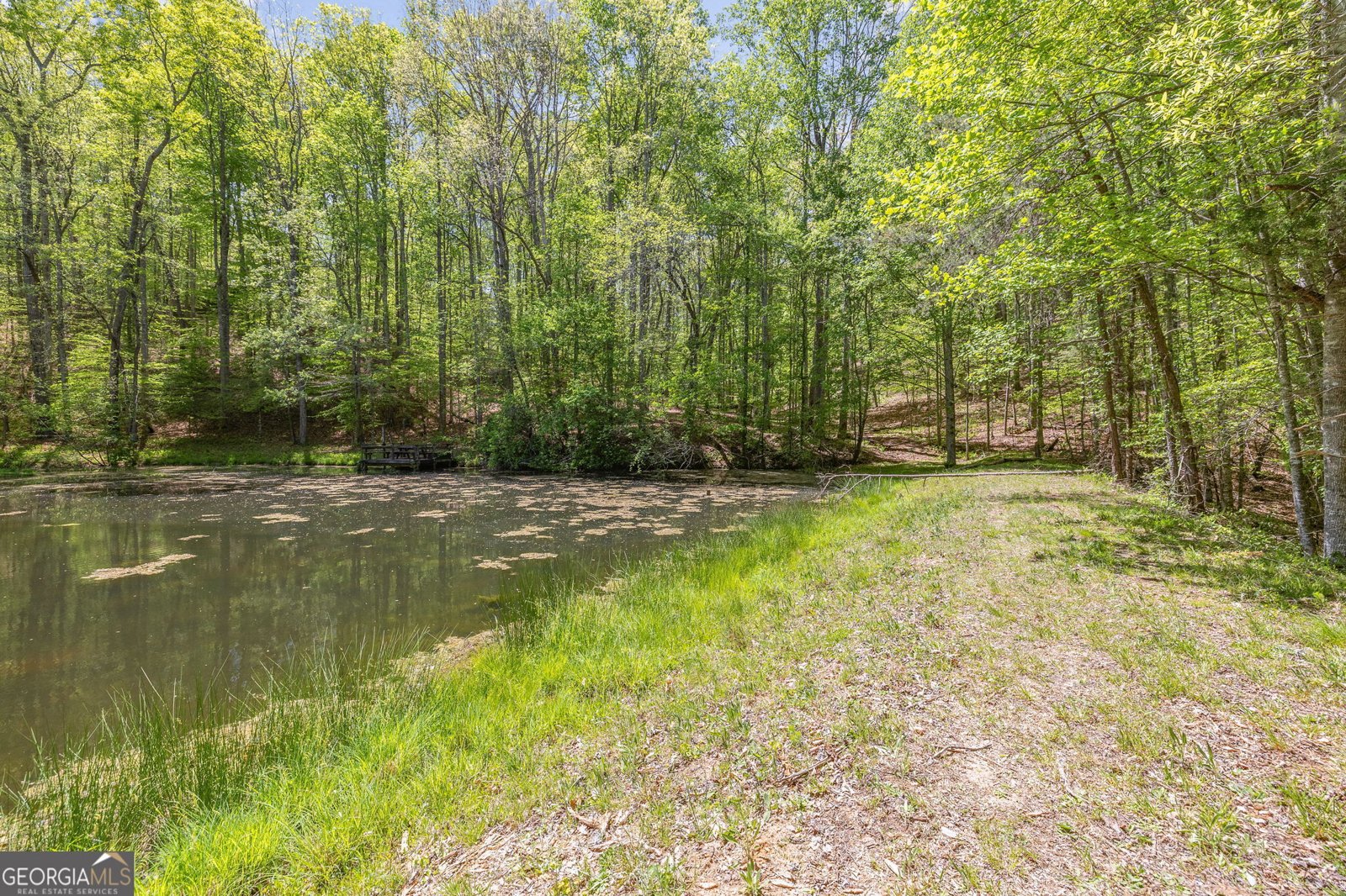 3617 Pea Ridge Road Cornelia - Photo 76