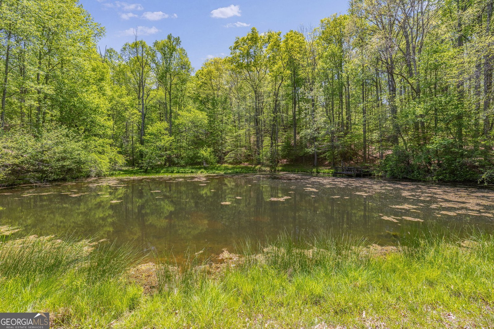 3617 Pea Ridge Road Cornelia - Photo 77