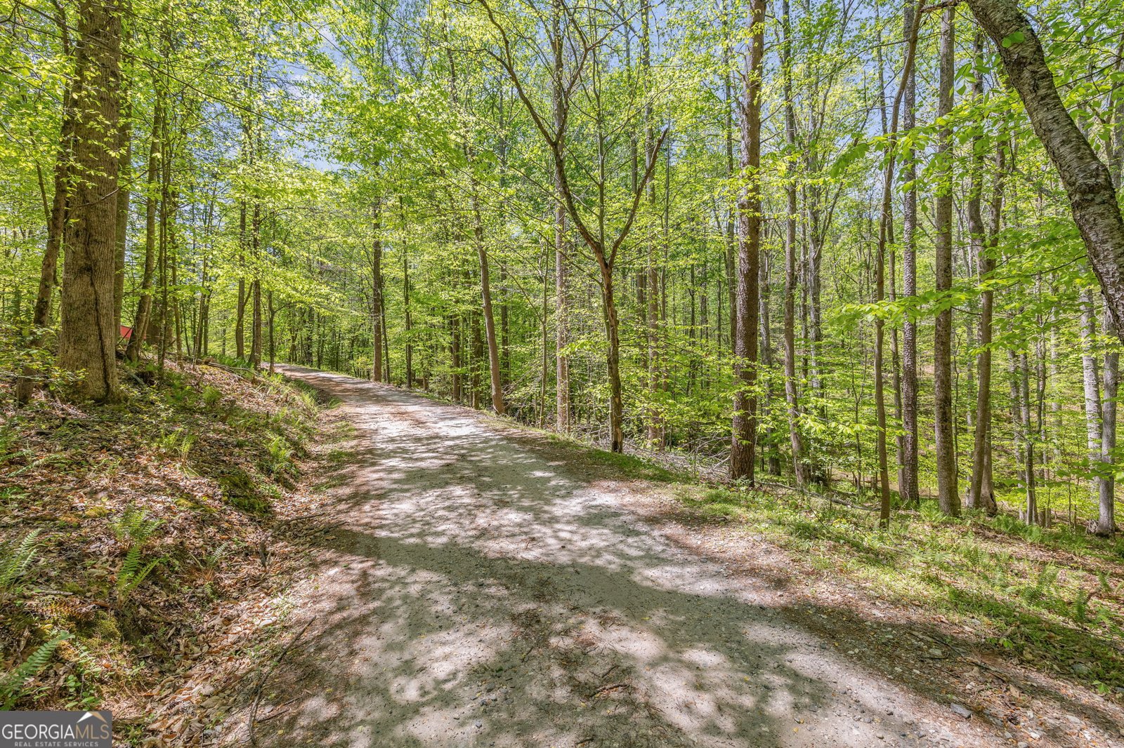 3617 Pea Ridge Road Cornelia - Photo 78