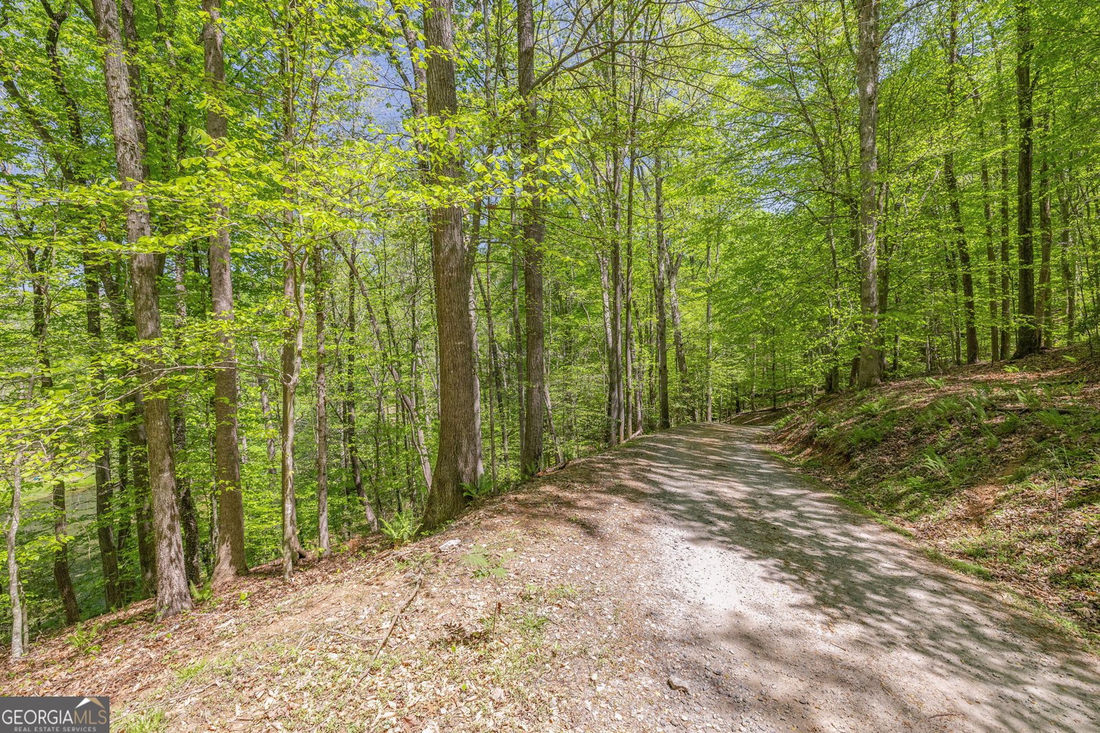 3617 Pea Ridge Road Cornelia - Photo 79