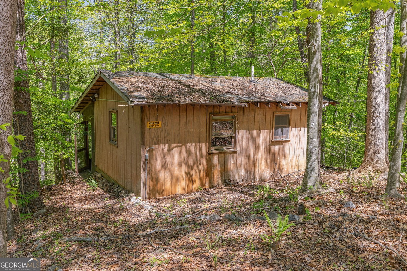 3617 Pea Ridge Road Cornelia - Photo 80