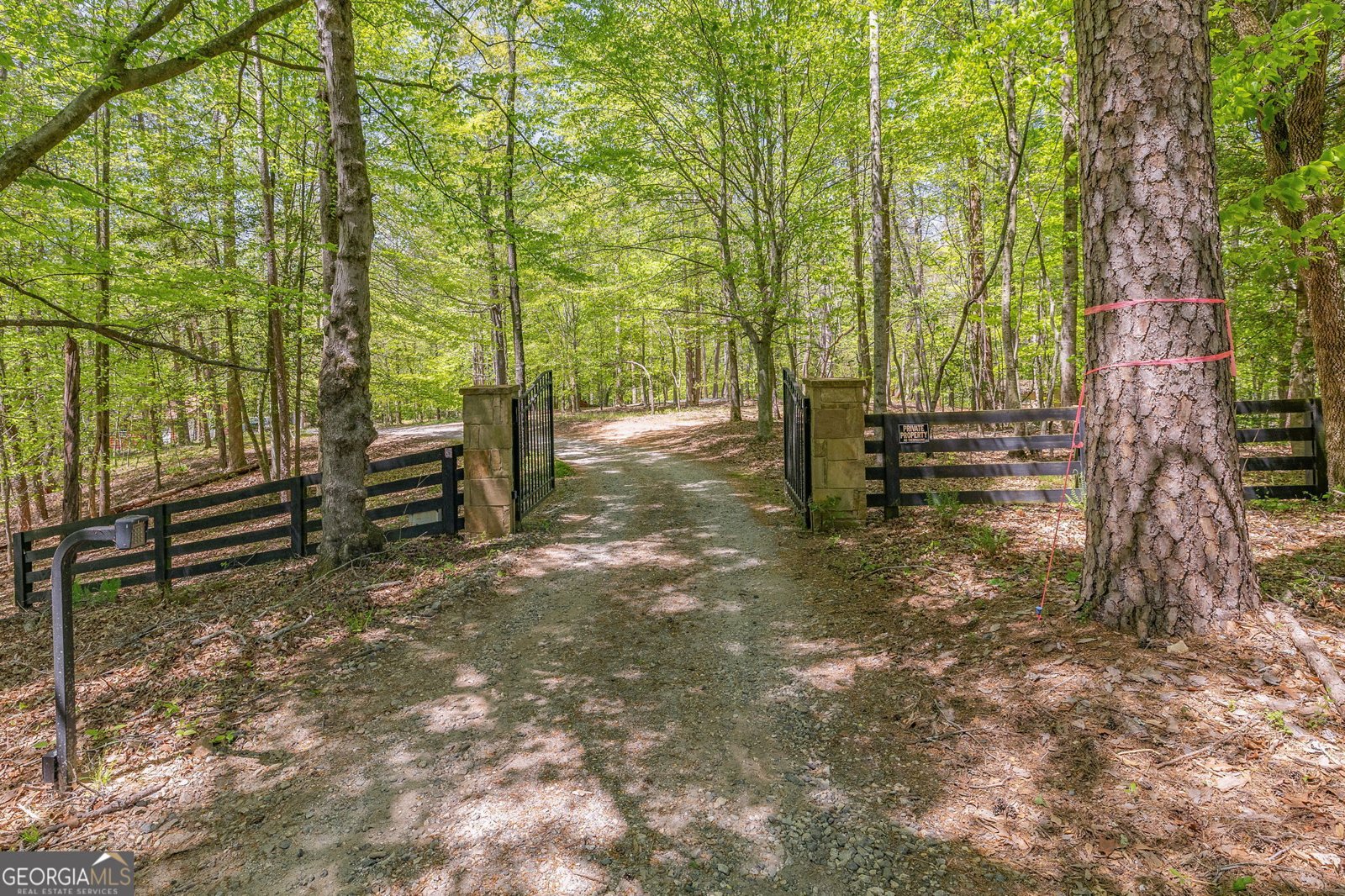 3617 Pea Ridge Road Cornelia - Photo 84