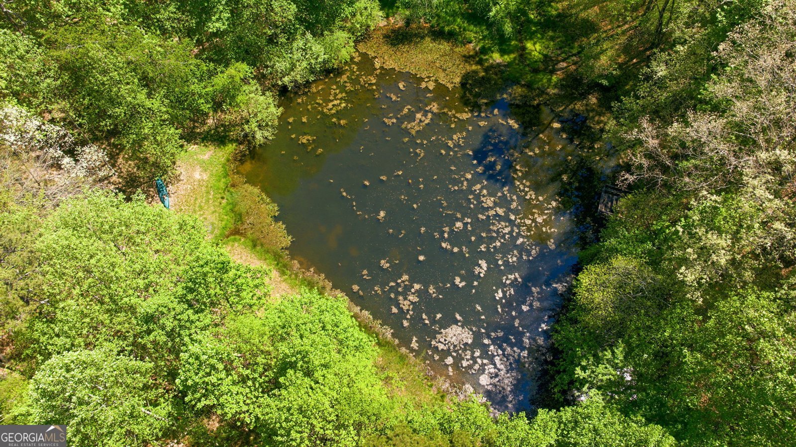 3617 Pea Ridge Road Cornelia - Photo 86