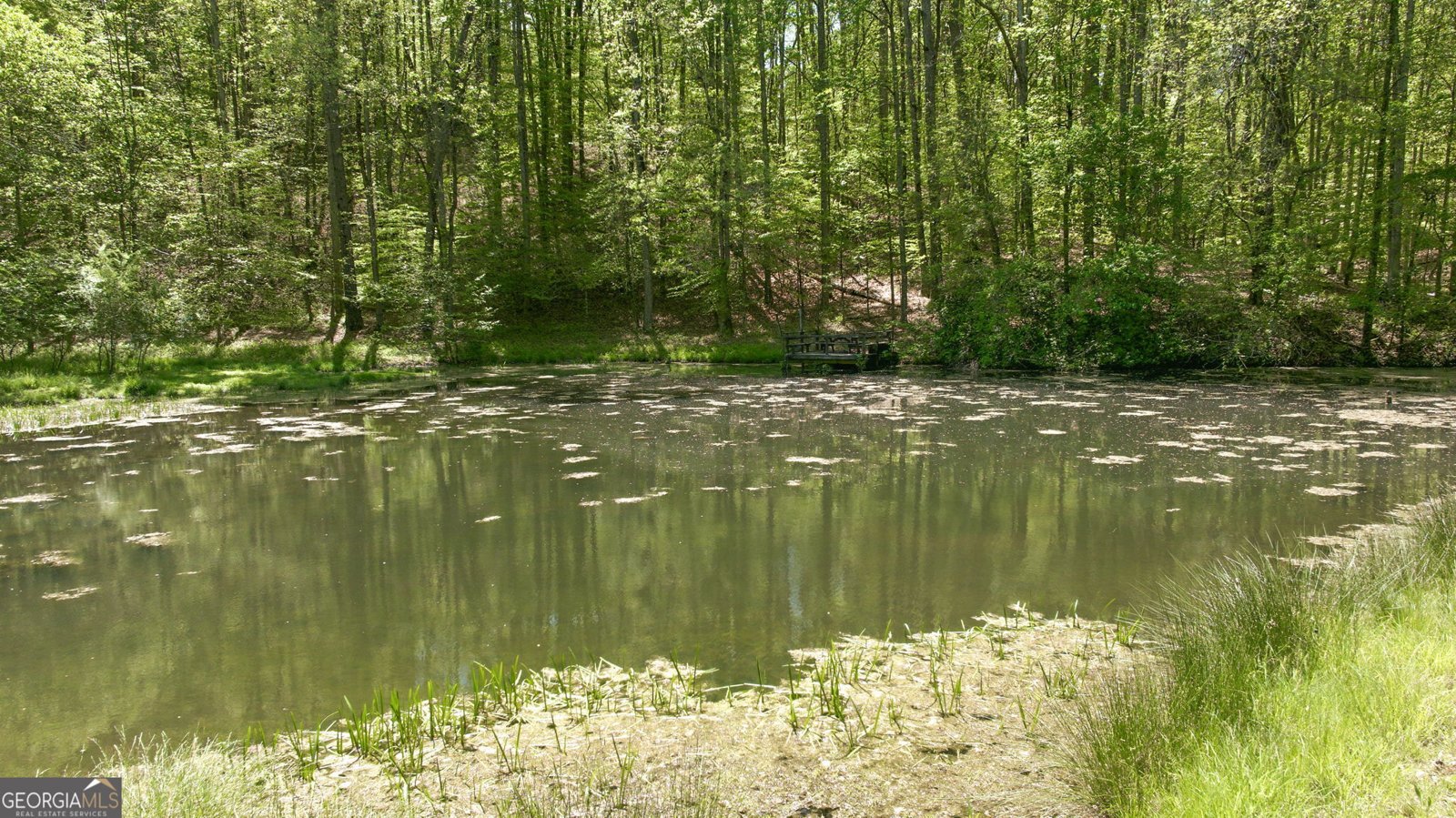 3617 Pea Ridge Road Cornelia - Photo 87