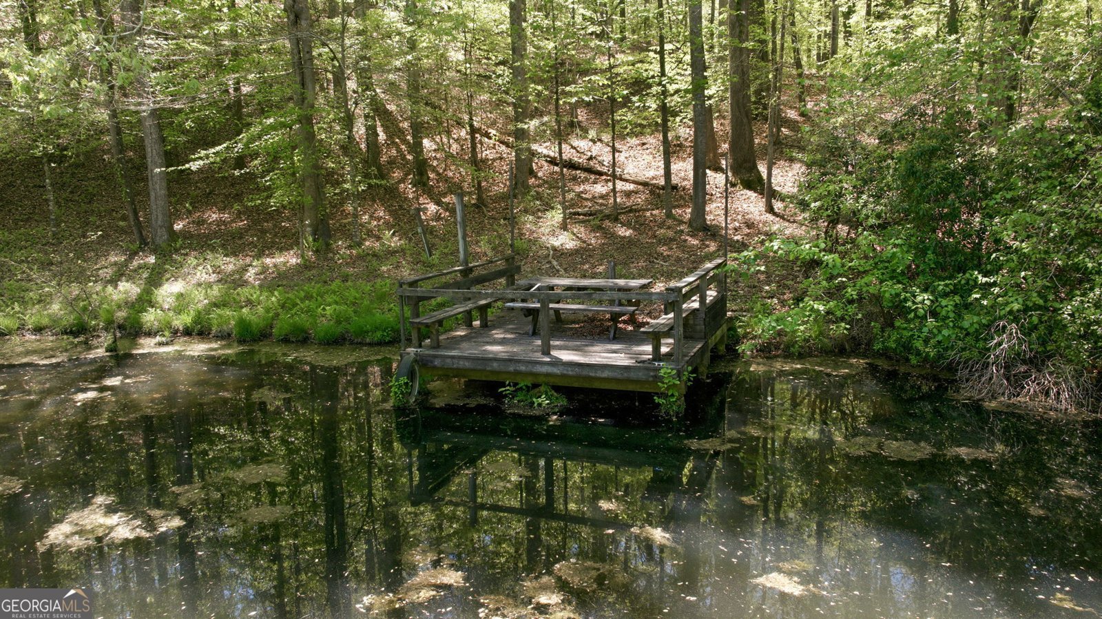 3617 Pea Ridge Road Cornelia - Photo 89