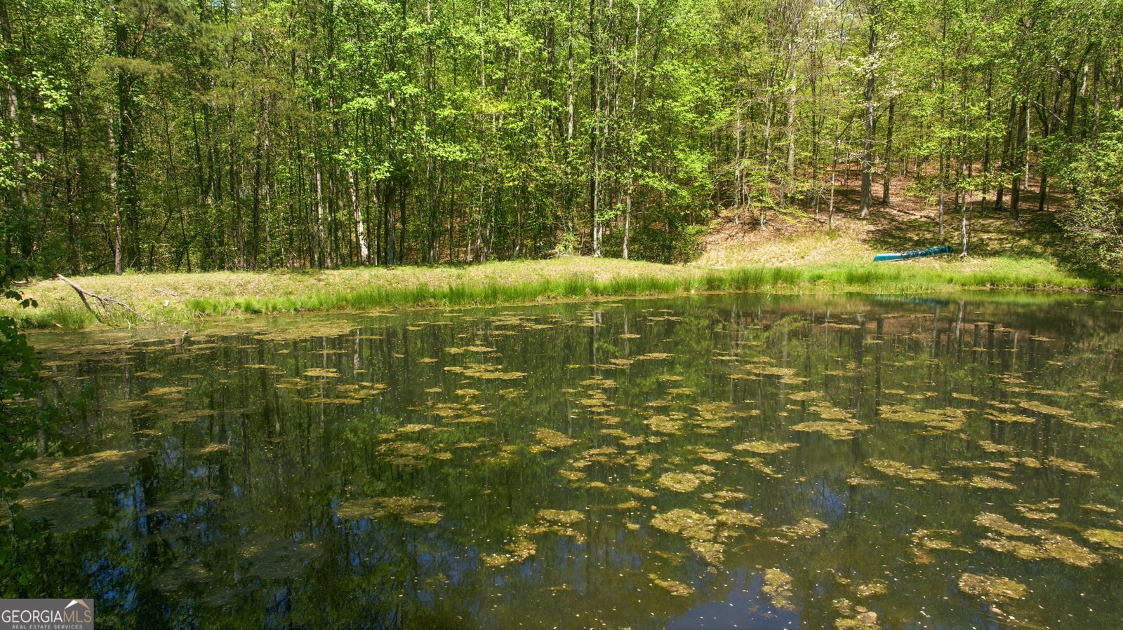 3617 Pea Ridge Road Cornelia - Photo 90