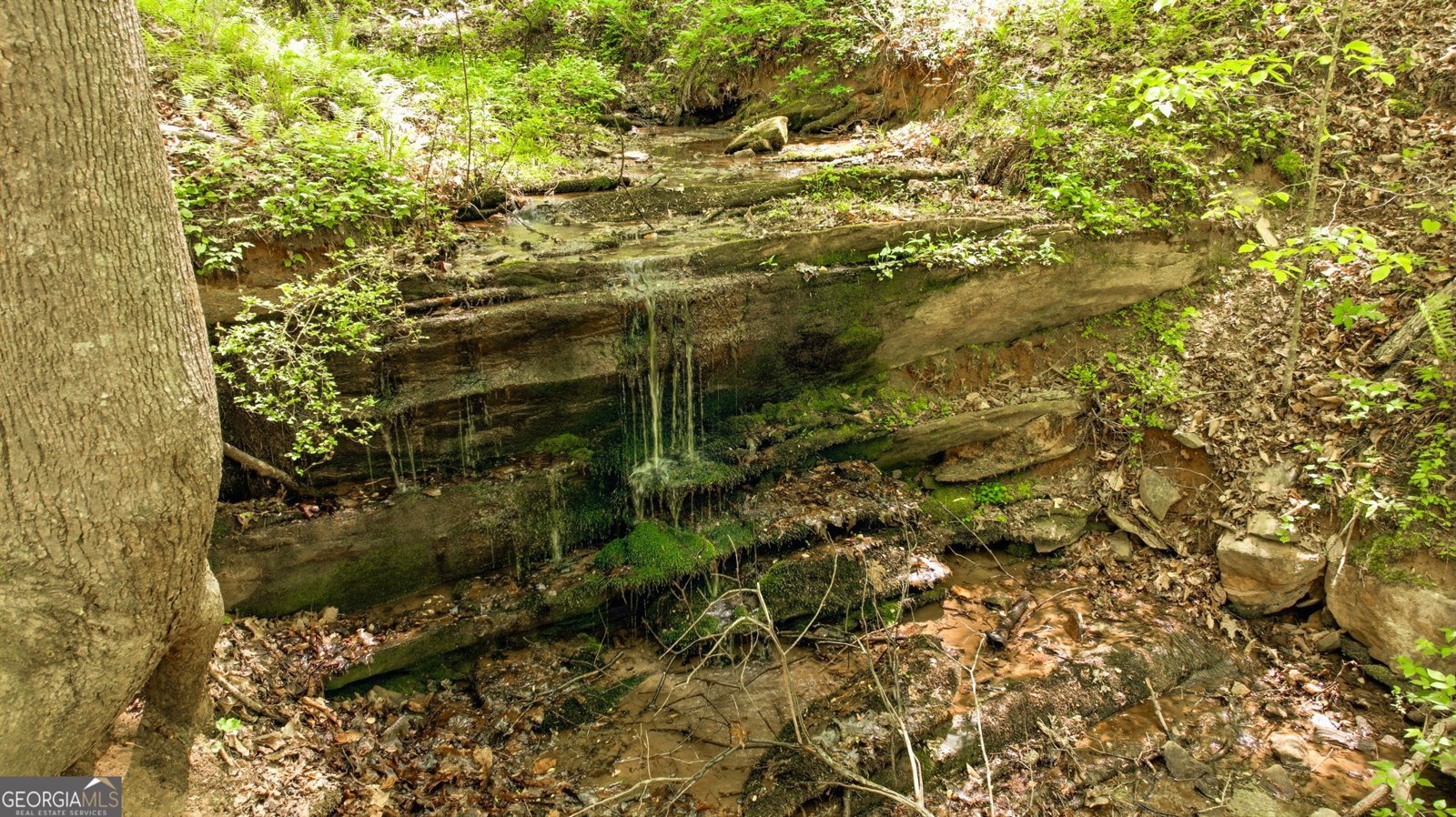 3617 Pea Ridge Road Cornelia - Photo 92