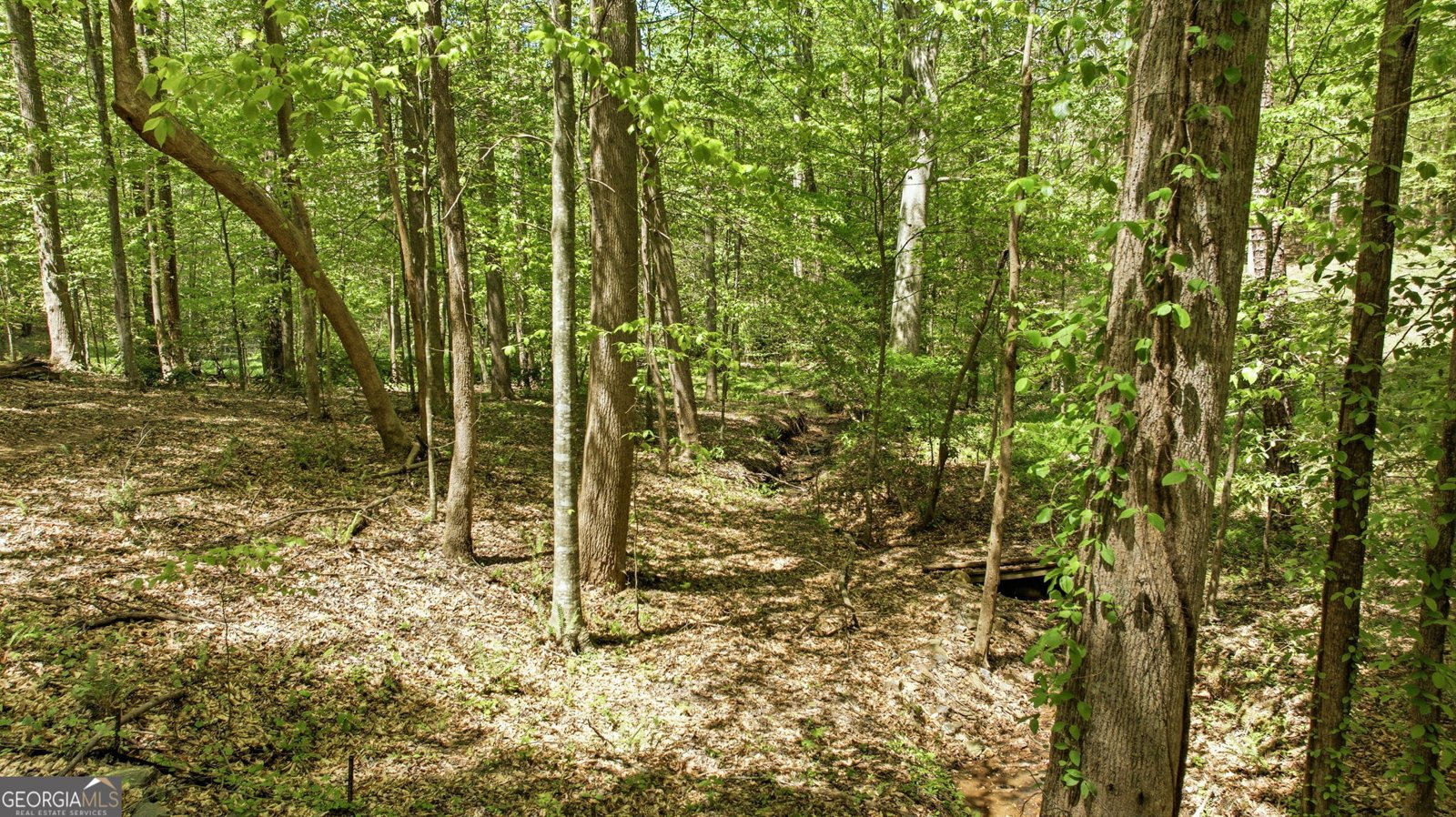 3617 Pea Ridge Road Cornelia - Photo 93