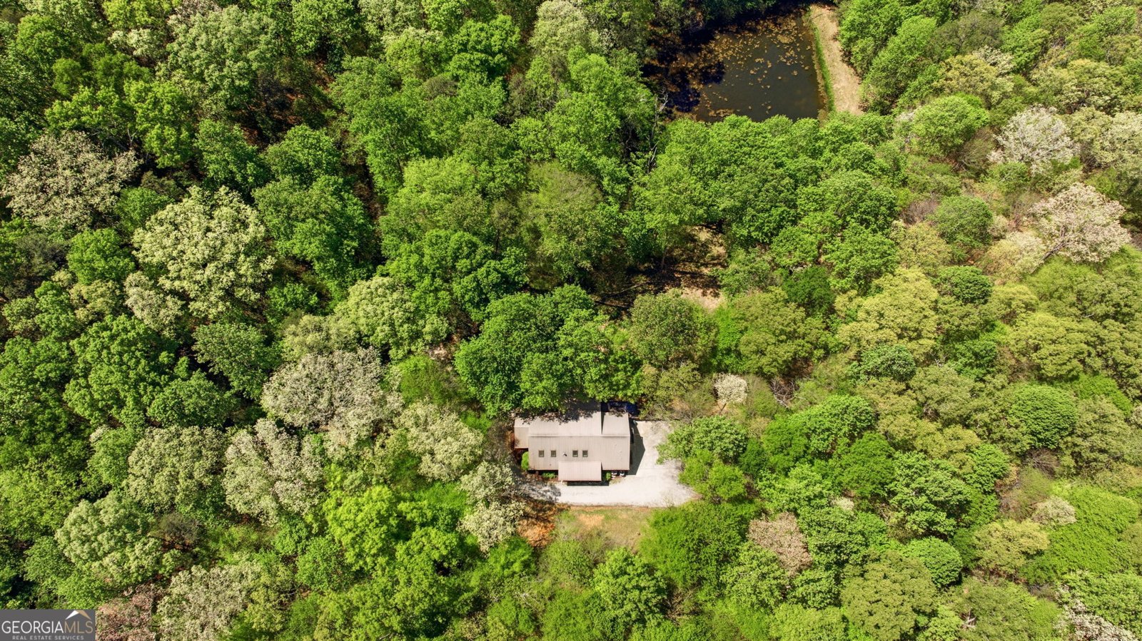 3617 Pea Ridge Road Cornelia - Photo 95