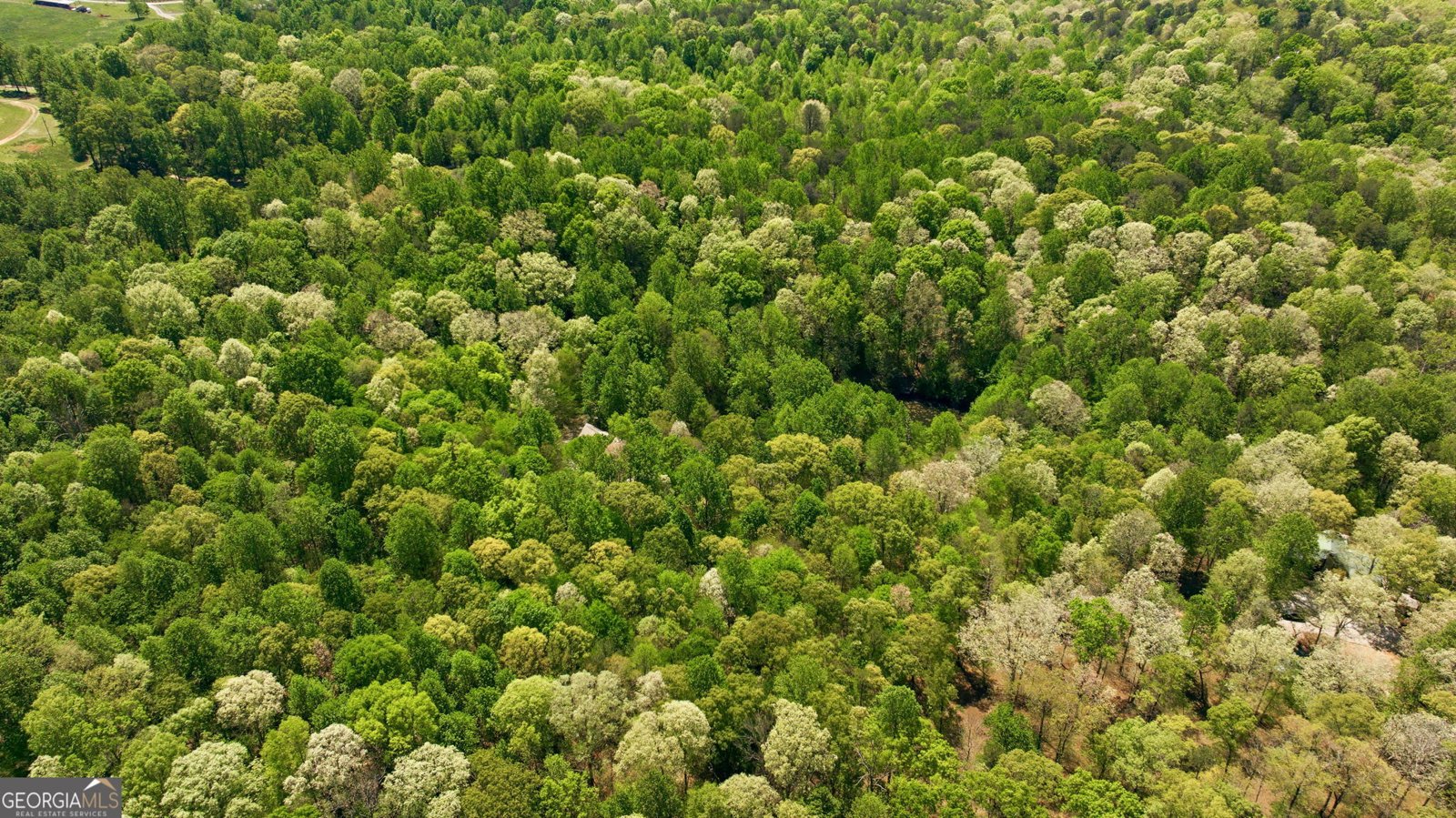 3617 Pea Ridge Road Cornelia - Photo 97