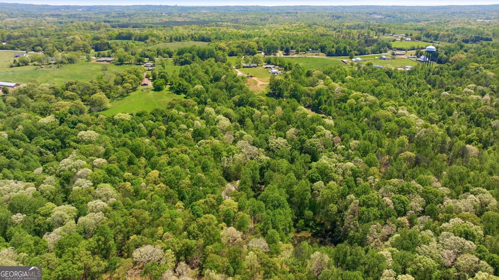 3617 Pea Ridge Road Cornelia - Photo 99