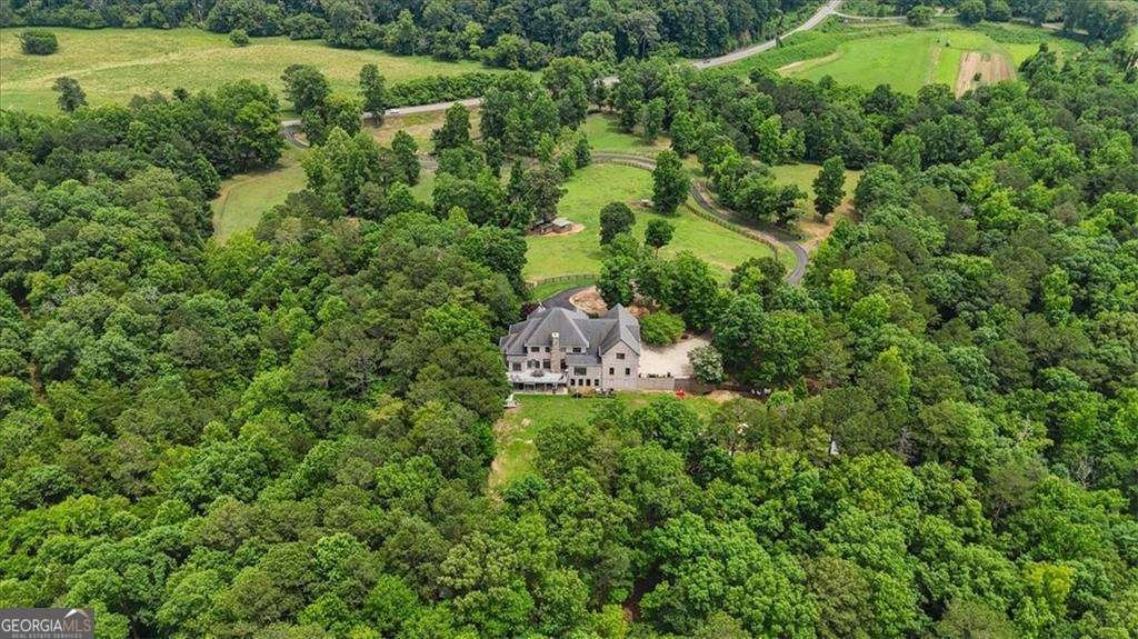 7945 Reinhardt College Parkway Waleska - Photo 1