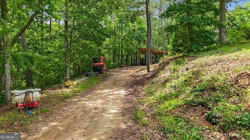 7945 Reinhardt College Parkway Waleska - Photo 55