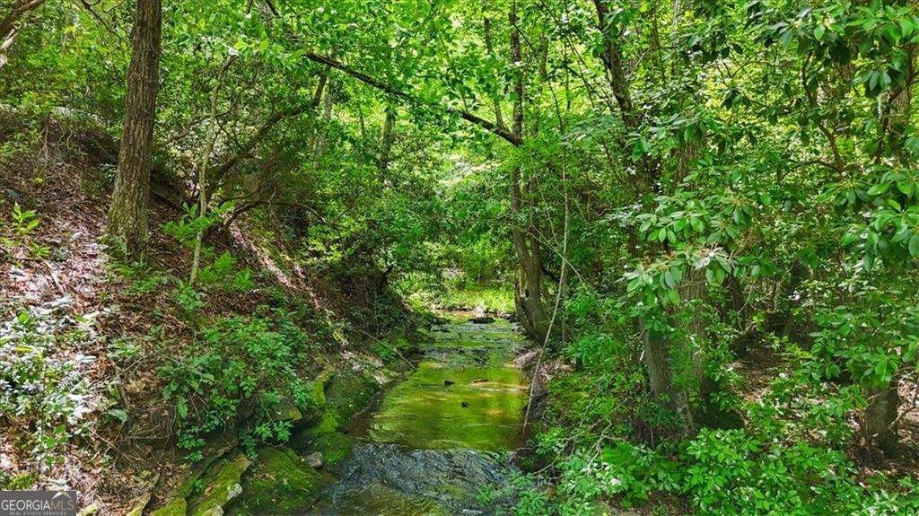 7945 Reinhardt College Parkway Waleska - Photo 69