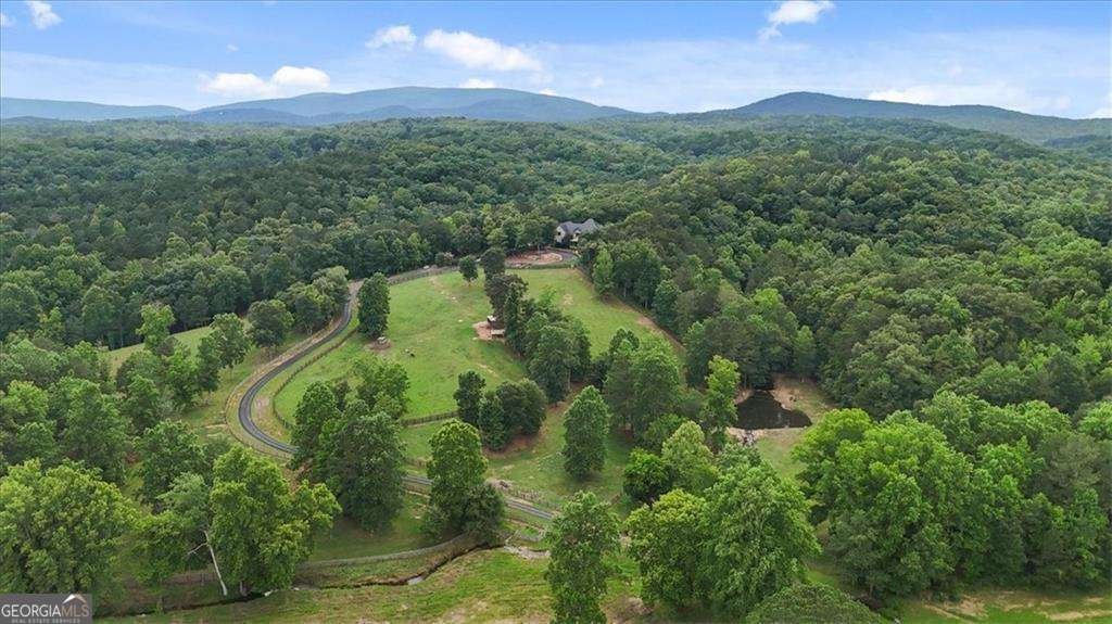 7945 Reinhardt College Parkway Waleska - Photo 72