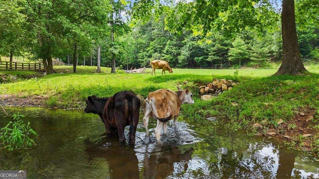 7945 Reinhardt College Parkway Waleska - Photo 78