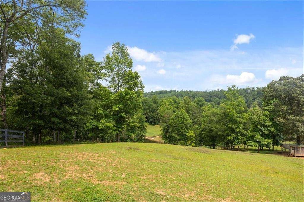 7945 Reinhardt College Parkway Waleska - Photo 96