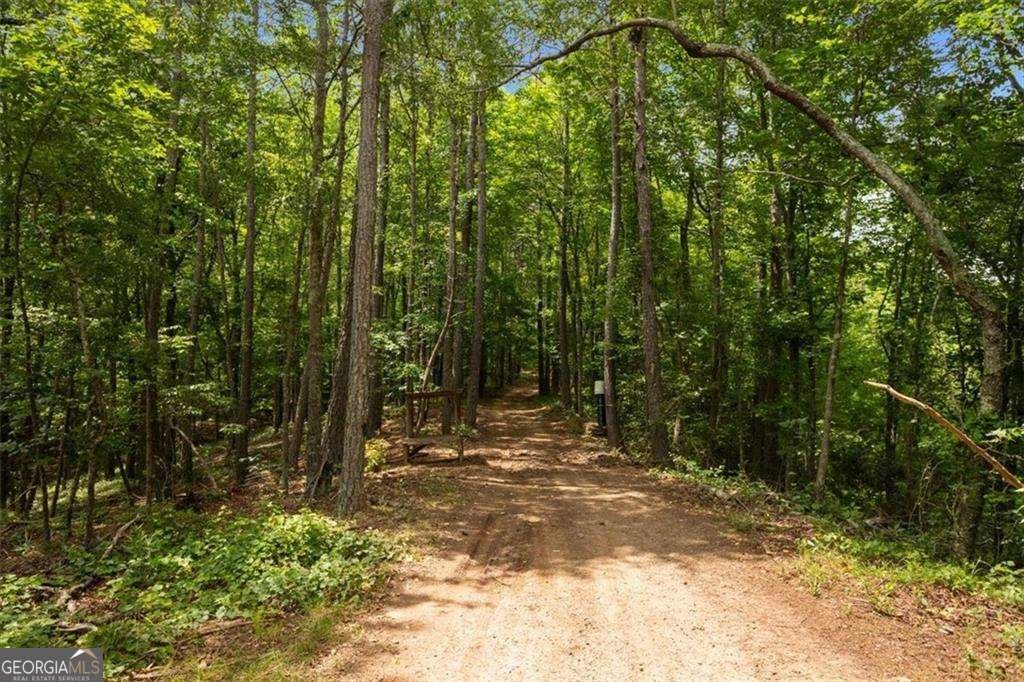 7945 Reinhardt College Parkway Waleska - Photo 99