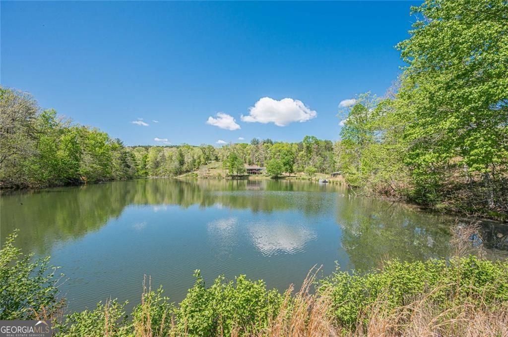 2308 Rackley Road Ellijay - Photo 11