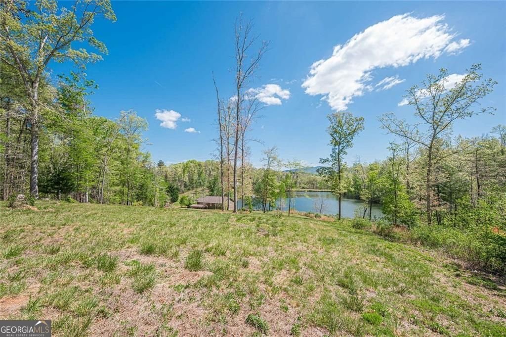 2308 Rackley Road Ellijay - Photo 20