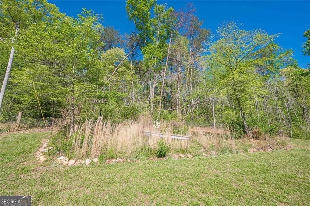 2308 Rackley Road Ellijay - Photo 23