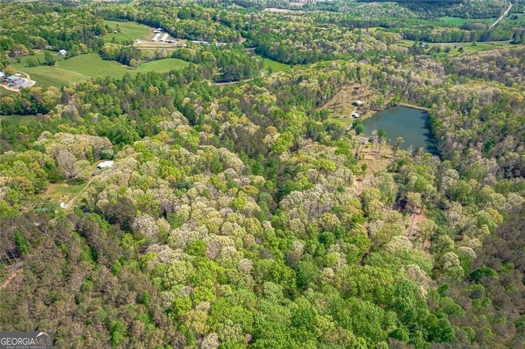 2308 Rackley Road Ellijay - Photo 6