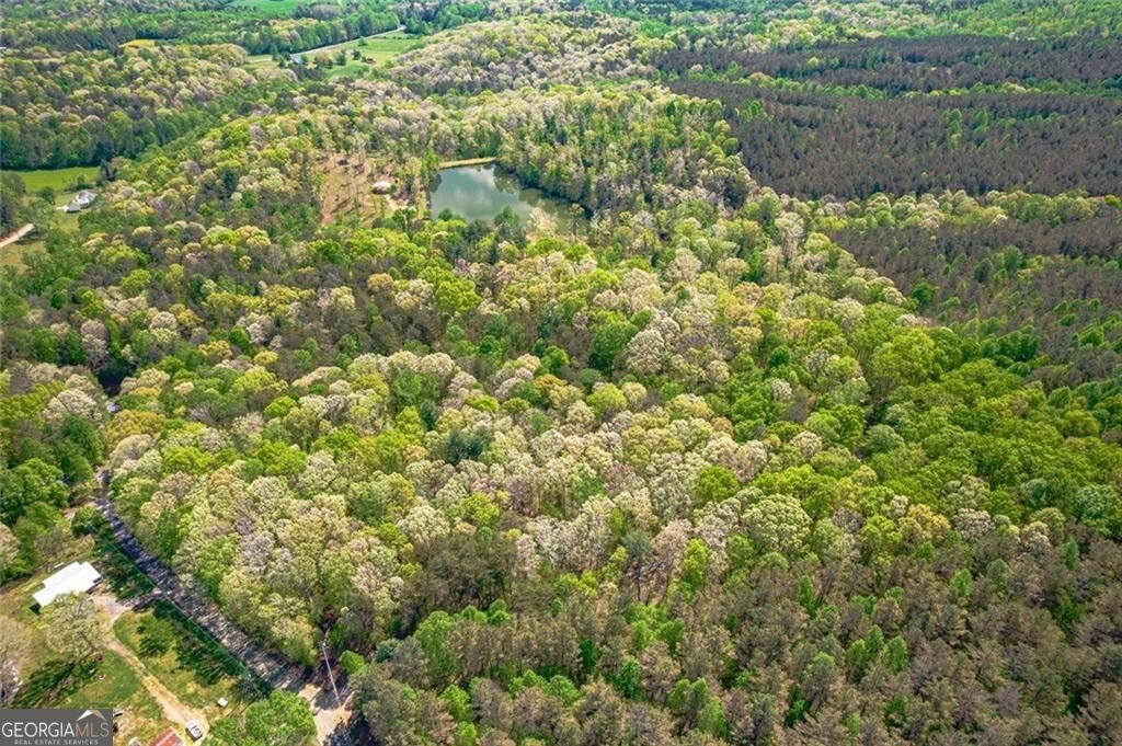 2308 Rackley Road Ellijay - Photo 7