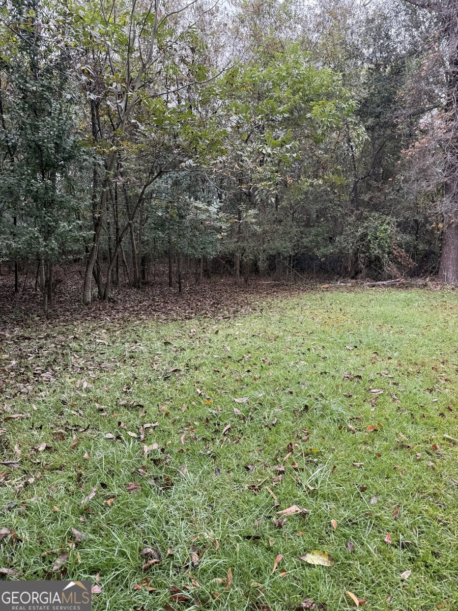 123 Linda Kay Court Warner Robins - Photo 8