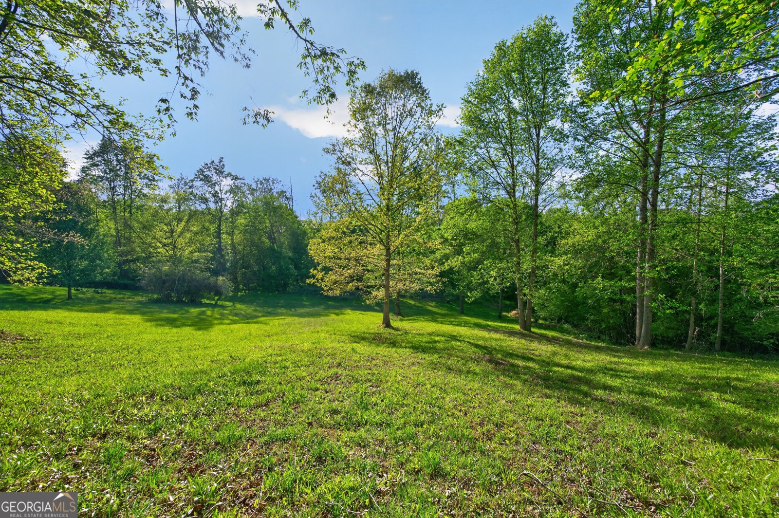 459 Nightdream Lane Winder - Photo 36