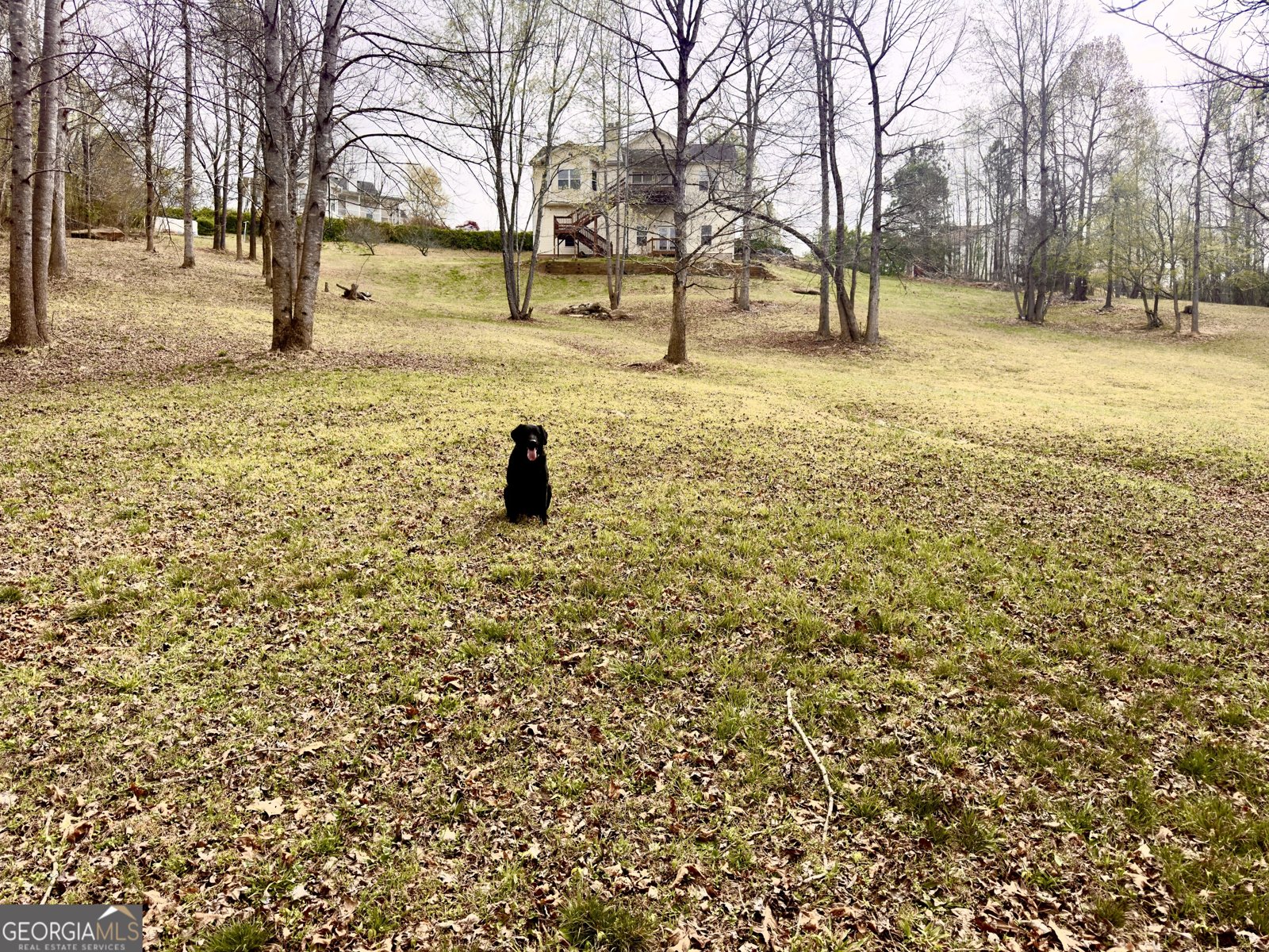 459 Nightdream Lane Winder - Photo 39