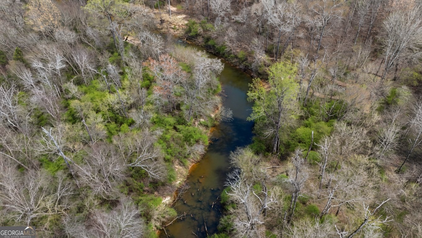 459 Nightdream Lane Winder - Photo 40