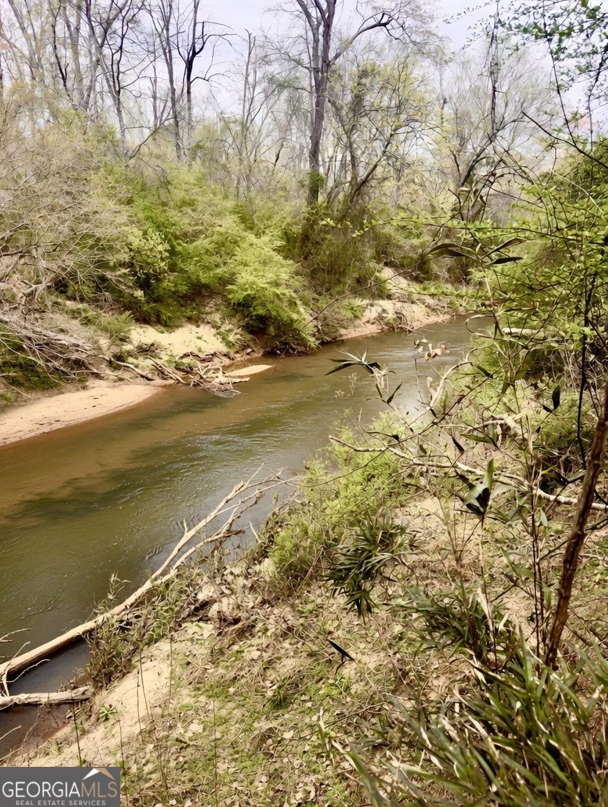 459 Nightdream Lane Winder - Photo 41