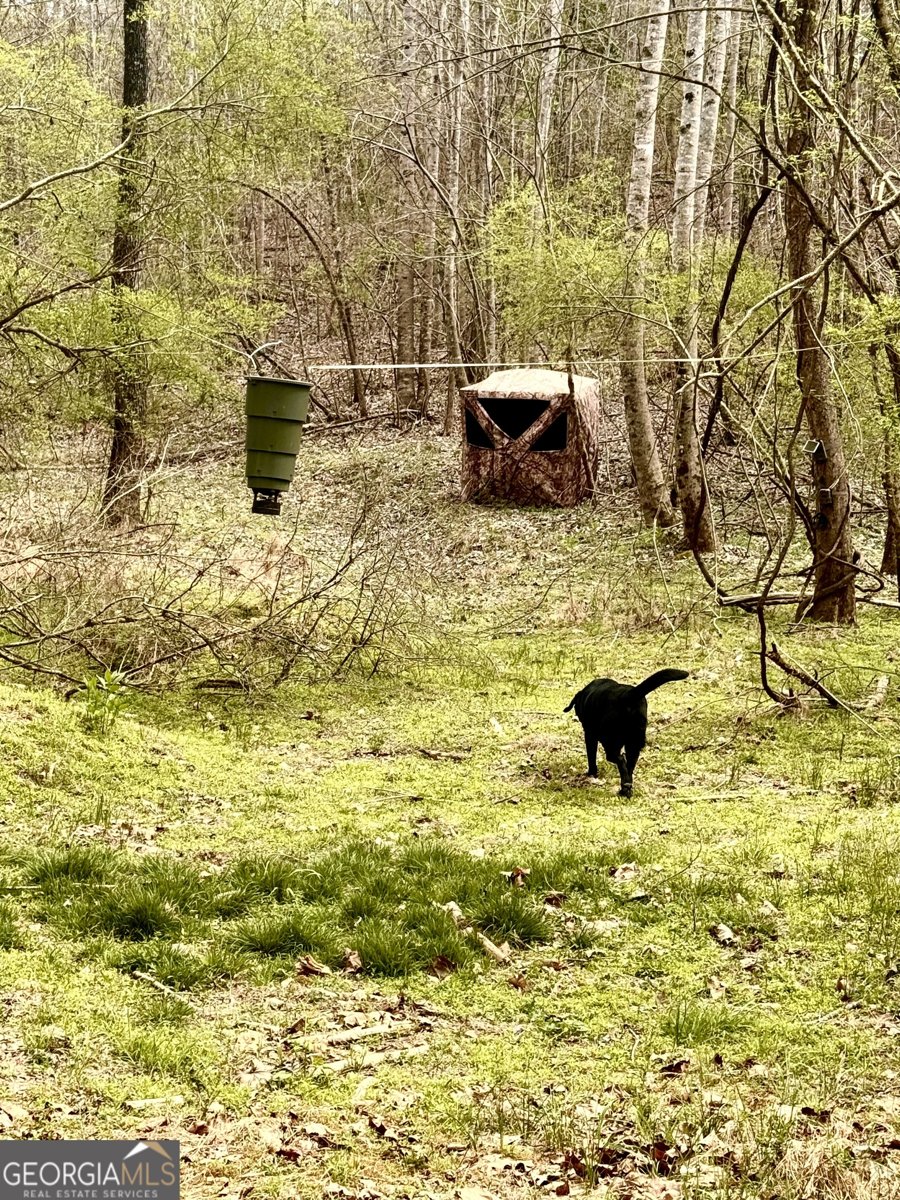 459 Nightdream Lane Winder - Photo 43