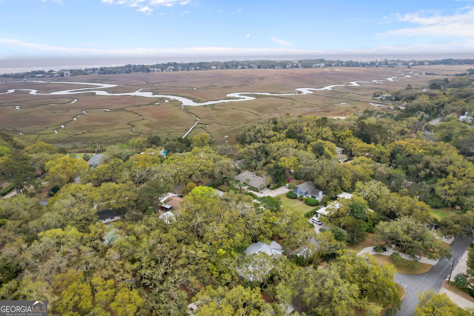 103 Cater Street St. Simons - Photo 33