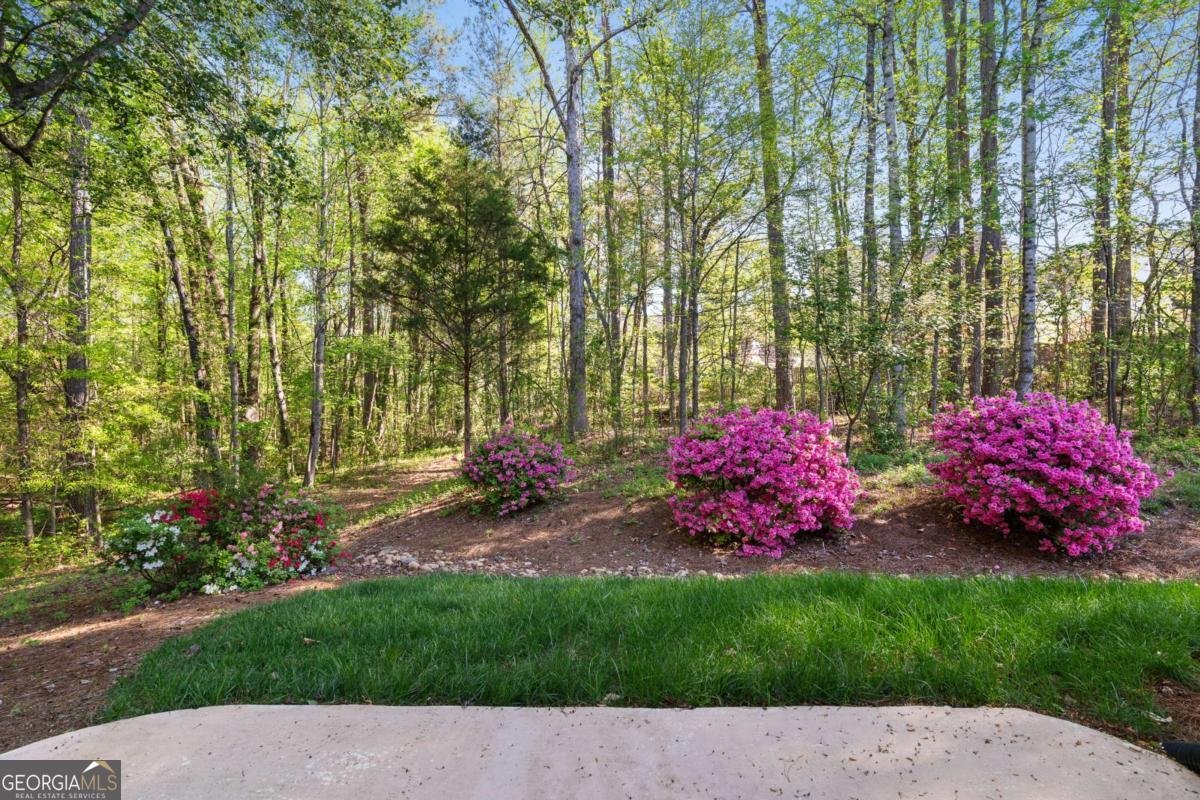 4076 Tritt Homestead Drive Marietta - Photo 48