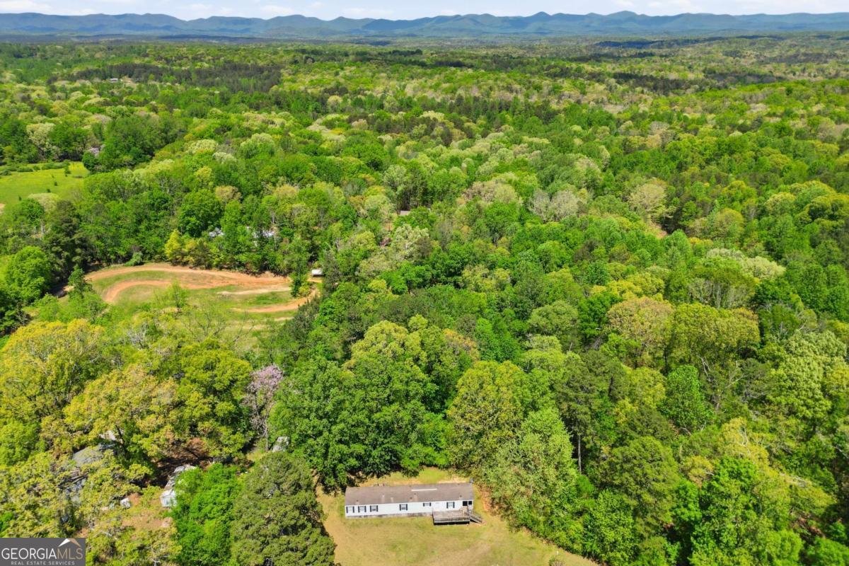 499 Rider Road Dawsonville - Photo 19